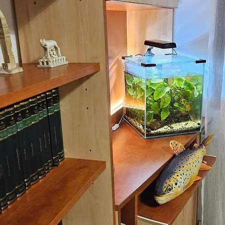 Apartament Yb Bukareszt